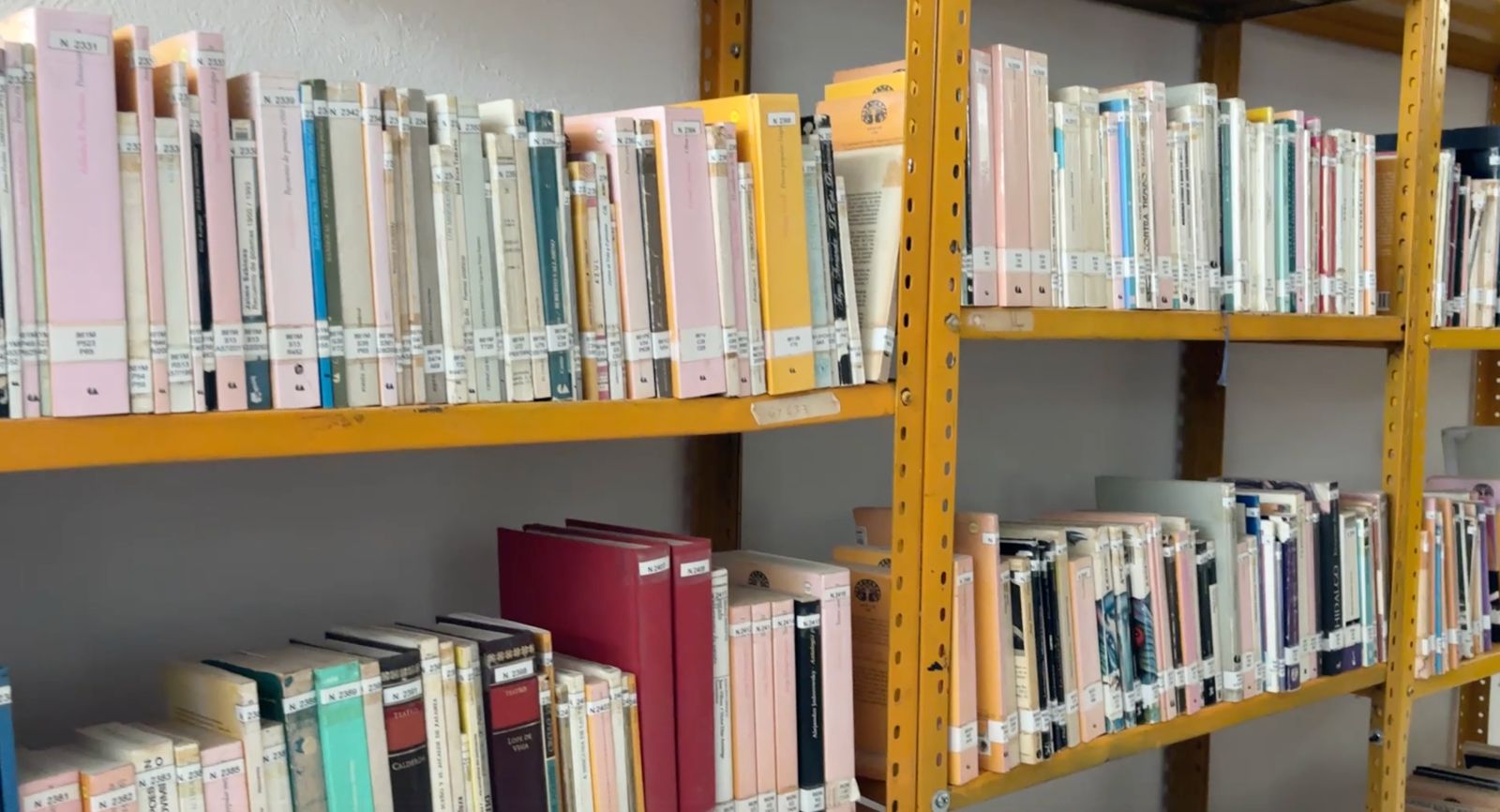 Invitan al “Maratón de Lectura 2026”, en Fortín