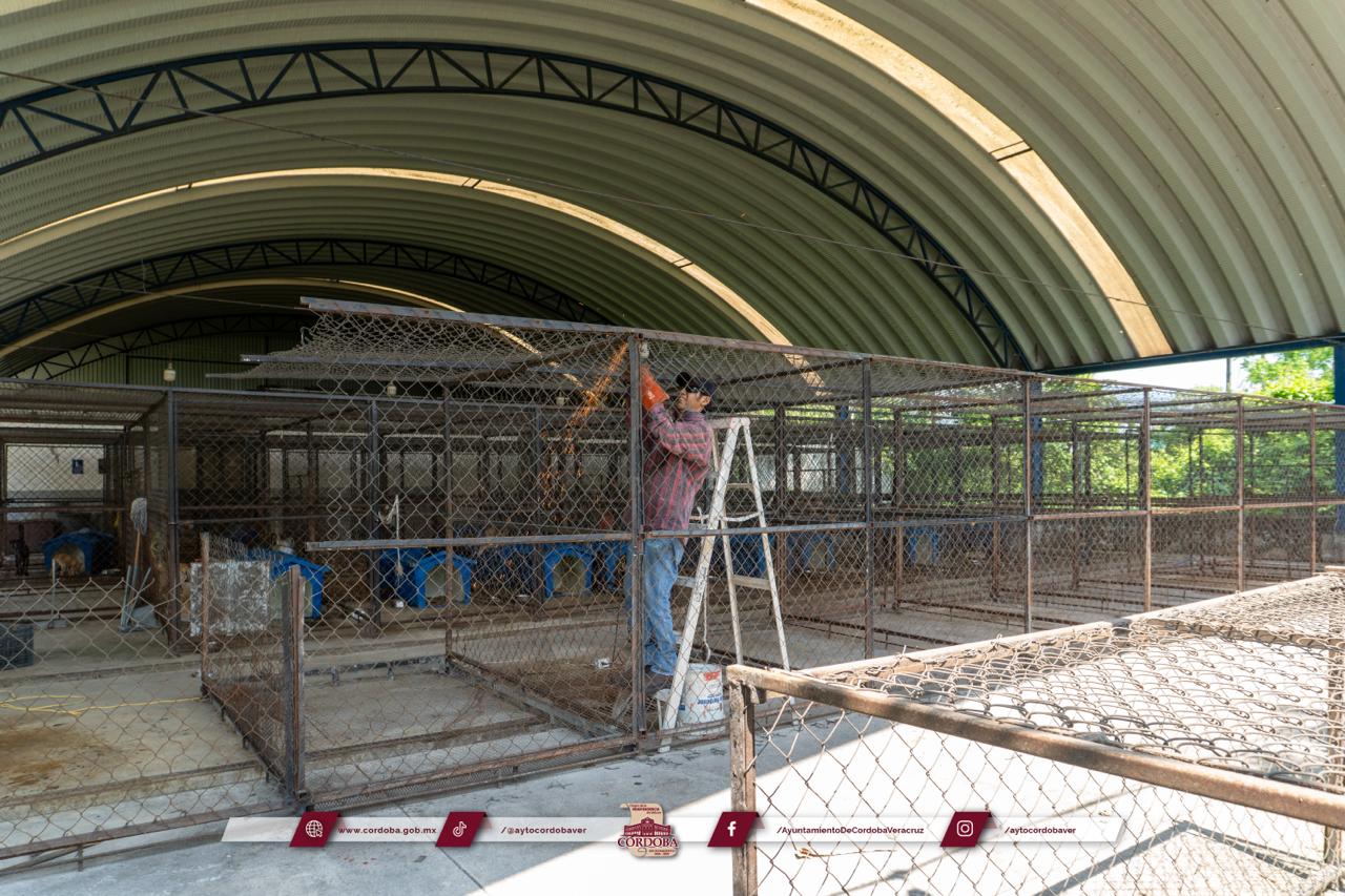 Inicia la rehabilitación del Centro de Salud Animal de Córdoba para ofrecer un espacio digno y seguro
