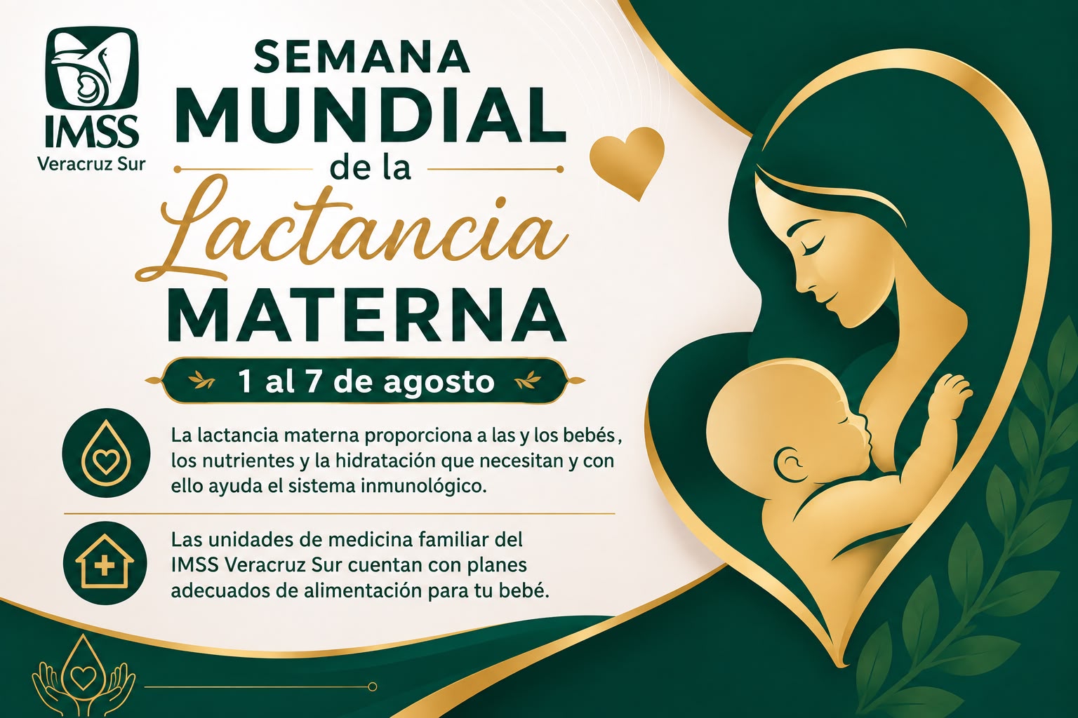 Promueve IMSS Veracruz Sur la Lactancia Materna