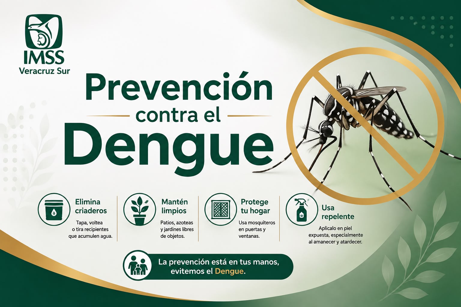 Llama IMSS Veracruz Sur a reforzar medidas de prevención contra dengue