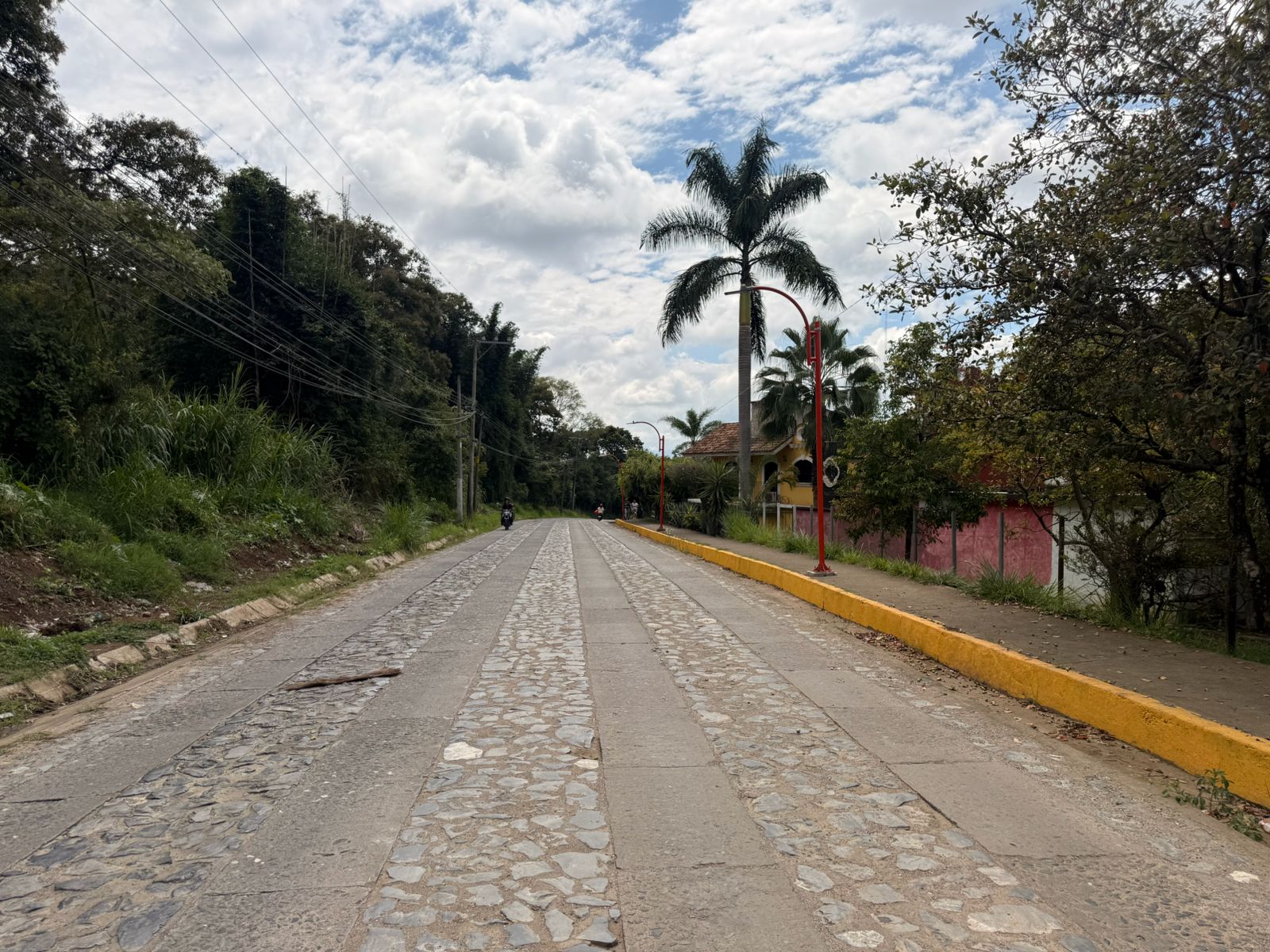 ¡Y se hizo la luz! Vecinos de los Álamos agradecen la mejora del servicio